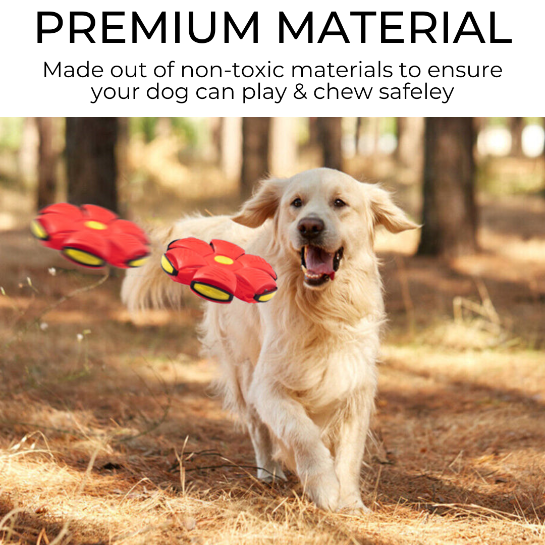 MyPetStop™ Smart Bounce UFO Ball – Unpredictable Play That Drives Dogs Crazy