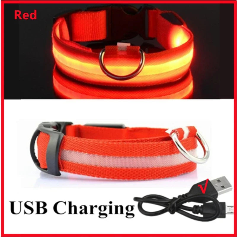 MyPetStop™ GlowGuard USB LED Dog Collar – High Visibility Night Safety Collar for Dogs & Pets