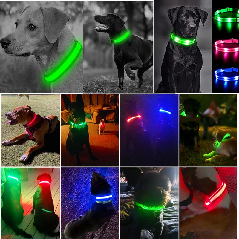 MyPetStop™ GlowGuard USB LED Dog Collar – High Visibility Night Safety Collar for Dogs & Pets