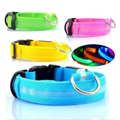 MyPetStop™ GlowGuard USB LED Dog Collar – High Visibility Night Safety Collar for Dogs & Pets