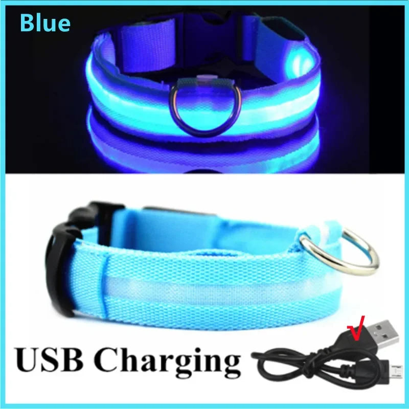 MyPetStop™ GlowGuard USB LED Dog Collar – High Visibility Night Safety Collar for Dogs & Pets