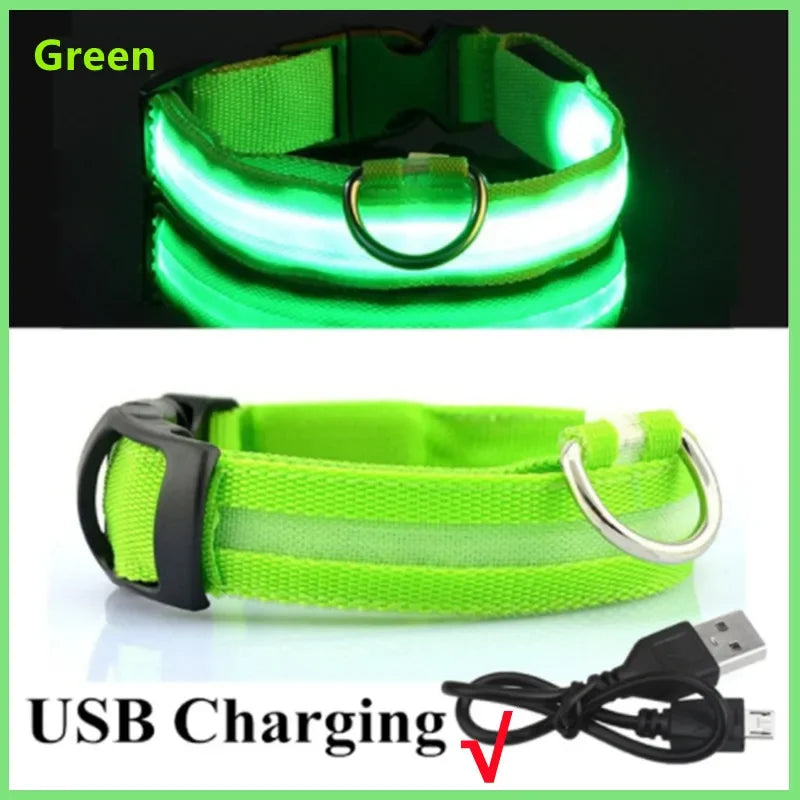 MyPetStop™ GlowGuard USB LED Dog Collar – High Visibility Night Safety Collar for Dogs & Pets