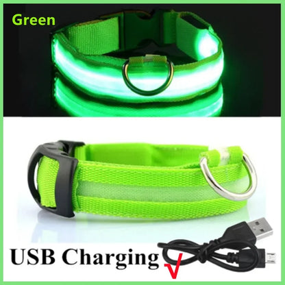 MyPetStop™ GlowGuard USB LED Dog Collar – High Visibility Night Safety Collar for Dogs & Pets