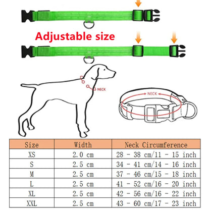 MyPetStop™ GlowGuard USB LED Dog Collar – High Visibility Night Safety Collar for Dogs & Pets