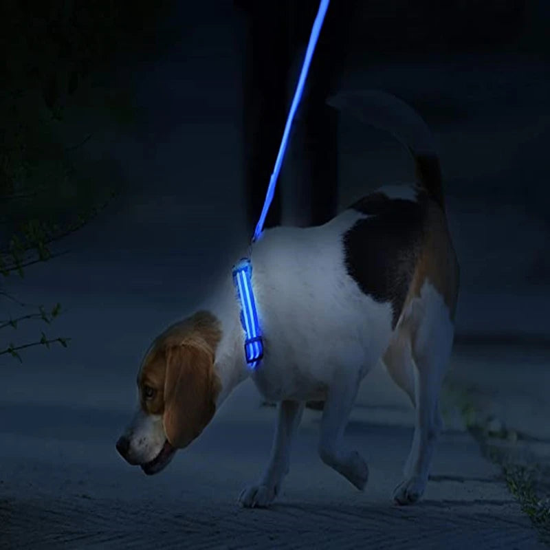 MyPetStop™ GlowGuard USB LED Dog Collar – High Visibility Night Safety Collar for Dogs & Pets