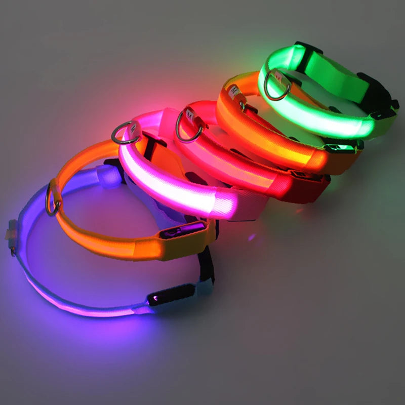 MyPetStop™ GlowGuard USB LED Dog Collar – High Visibility Night Safety Collar for Dogs & Pets
