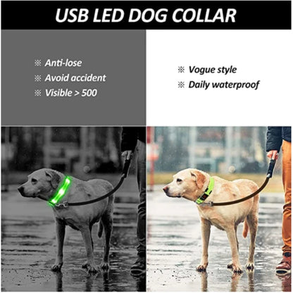 MyPetStop™ GlowGuard USB LED Dog Collar – High Visibility Night Safety Collar for Dogs & Pets