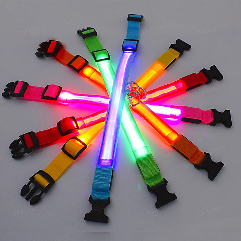 MyPetStop™ GlowGuard USB LED Dog Collar – High Visibility Night Safety Collar for Dogs & Pets