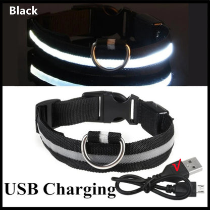 MyPetStop™ GlowGuard USB LED Dog Collar – High Visibility Night Safety Collar for Dogs & Pets