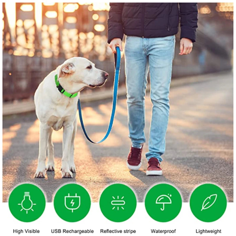 MyPetStop™ GlowGuard USB LED Dog Collar – High Visibility Night Safety Collar for Dogs & Pets