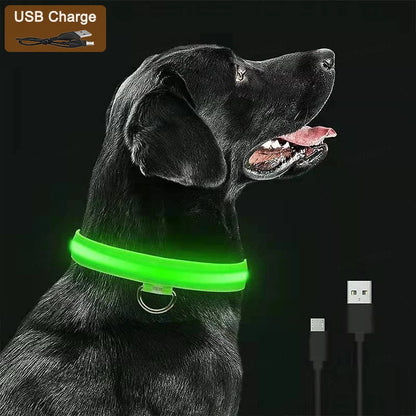 MyPetStop™ GlowGuard USB LED Dog Collar – High Visibility Night Safety Collar for Dogs & Pets